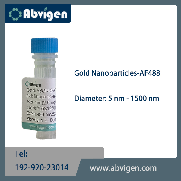 Gold Nanoparticles-AF488.jpg