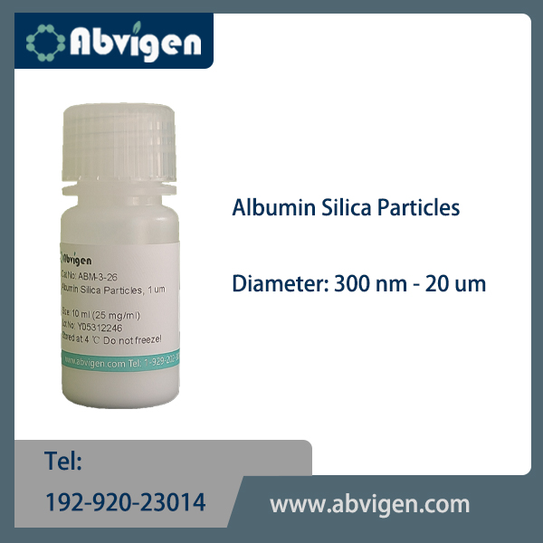 Albumin Silica Particles.jpg