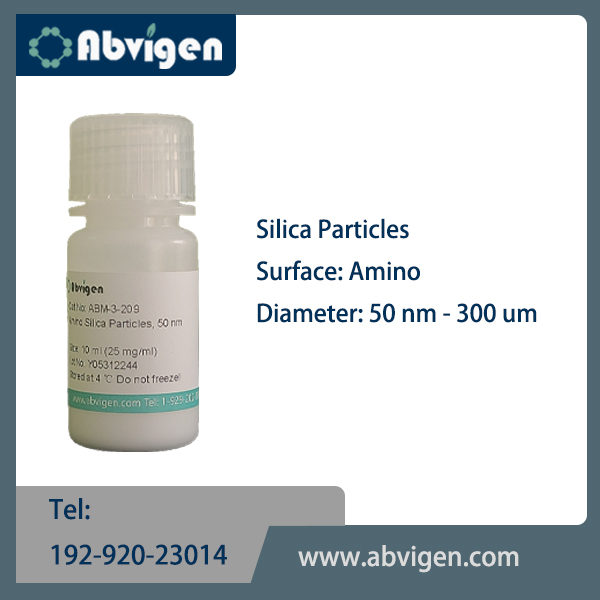 Silica Particles-Amino.jpg